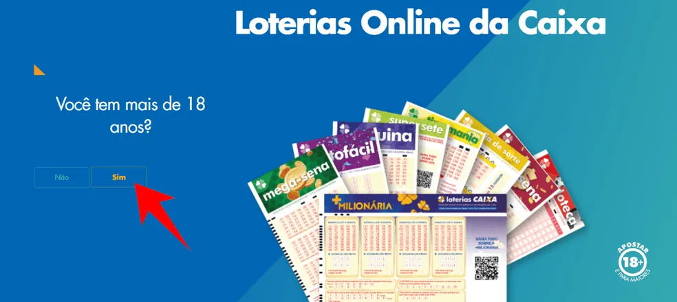 Loteria Online: Como Jogar, Apostar e Ganhar Prêmios Reais