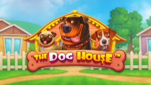The Dog House